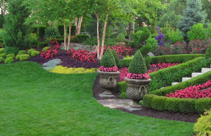 Lawn Care Maintenance in Vancouver